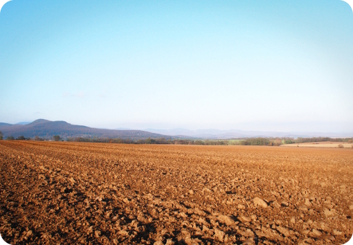 easy-november-sunday easy-november-sunday