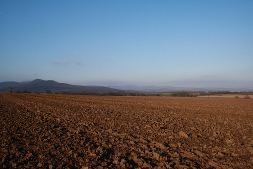 easy-sunday-morning-SOOC easy-sunday-morning-SOOC