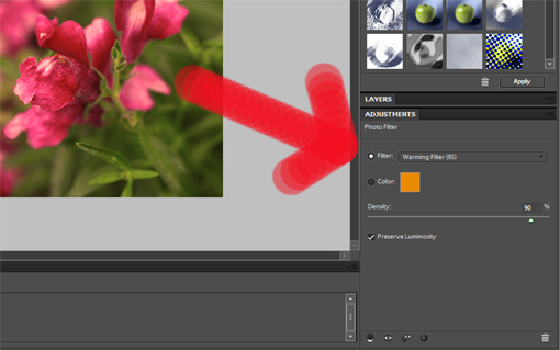 how to use photo filter in Photoshop step-by-step tutorial