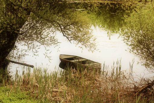 boat on the river and willow trees still life