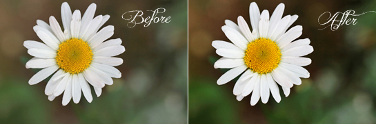 how-to-increase-contrast-in-photoshop-before-and-after