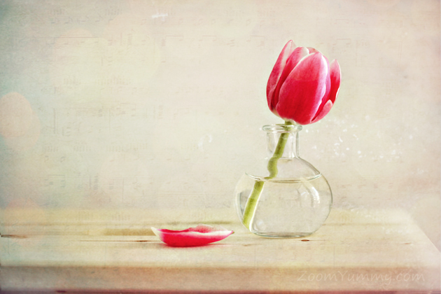 still with a tulip in a vase