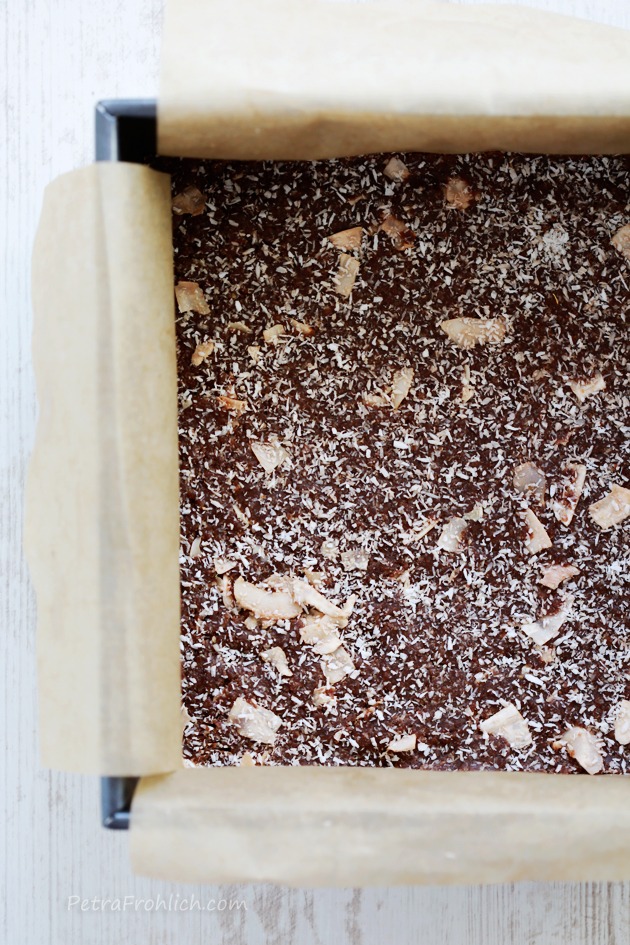 raw no bake date and coconut power bars